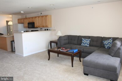 36507 Palm Dr unit 2306, Rehoboth Beach, DE 19971 - photo 3