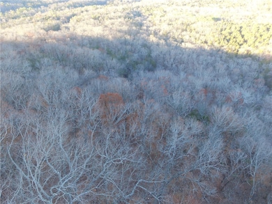 0 Ria Ln unit 1295309, Eureka Springs, AR 72631 - photo 5