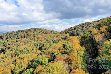 VL25 Mountain Forest Rd, Sylva, NC 28779 - photo 4