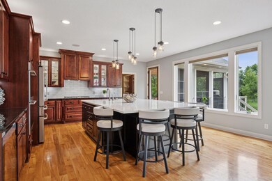 17851 63rd Ave N, Maple Grove, MN 55311 - photo 6