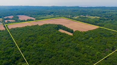 19701 KLUVER RD, NEW BUFFALO