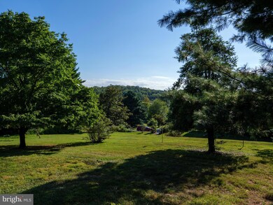 17152 Bridge View Ct, Paeonian Springs, VA 20129 - photo 3
