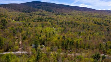 5 Ossipee Mountain Rd unit 49/5, Moultonborough, NH 03254 - photo 6
