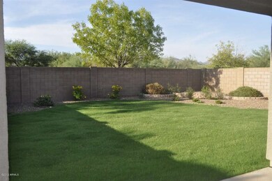 Back yard