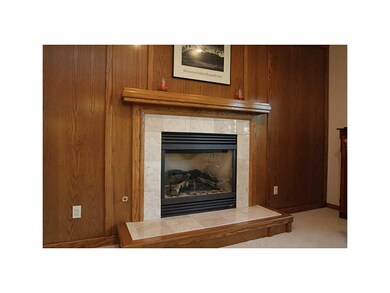 Fireplace.