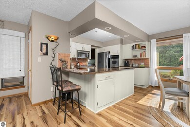 125 Mitchell Dr, Elk Rapids, MI 49629 - photo 5