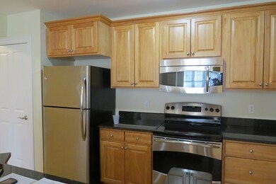 15 Summer St unit 203, Franklin, MA 02038 - photo 3