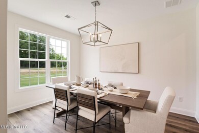 Photos of model home