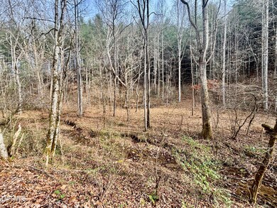 TBD Yellow Branch Rd, Rose Hill, VA 24281 - photo 6