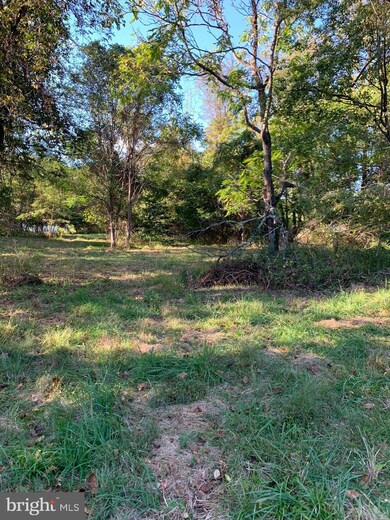 0 Miller Ave, 11, Sandy Hook, MD 21758 - photo 7