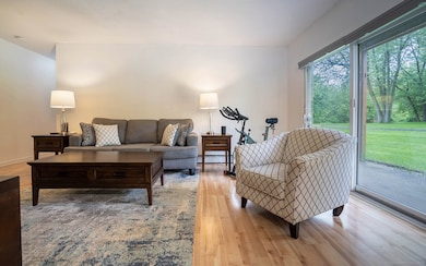 Living room has a patio off of it. Easy access for pets or kids