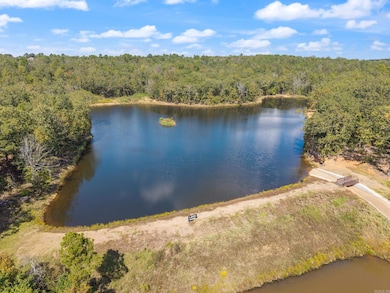 15304 Matterhorn Loop, Maumelle, AR 72113 - photo 5