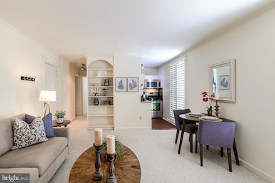 333 2nd St NE unit 206B, Washington, DC 20002 - photo 6