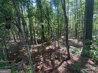 0 Rocky Knob Rd unit 10527508, Sylvania, GA 30467 - photo 5