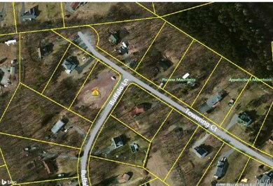 12 Buffalo Ln, Chestnuthill Township, PA 18353 - photo 3