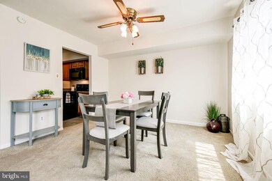 8005 Capistrano Place unit E, Alexandria, VA 22309 - photo 5