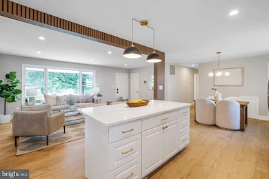 12300 La Plata St, Silver Spring, MD 20904 - photo 6