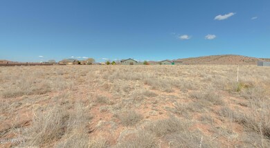 005_View of Lot