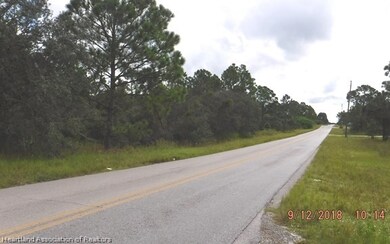 368 Fawnwood Ave, Lake Placid, FL 33852 - photo 3