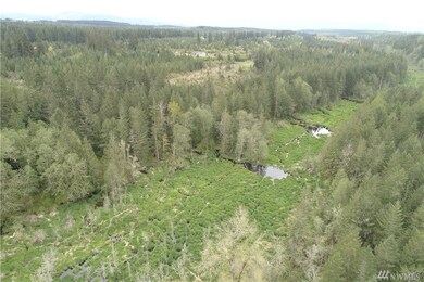 333 Highland Dr E, Roy, WA 98580 - photo 6