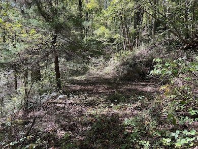 TBD Happy Ridge Ln, Sylva, NC 28779 - photo 3