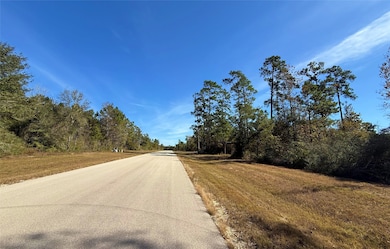 312 Iron Horse Rd, Willis, TX 77358 - photo 2