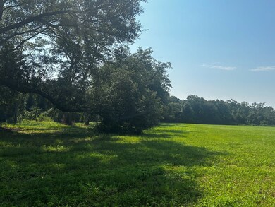 0 Willie Varnum Rd, Dothan, AL 36301 - photo 5