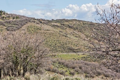 3817 Aspen Camp Loop Lot 71-print-003-00