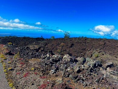 92-8211 King Kalakaua Ln, Ocean View, HI 96704 - photo 4