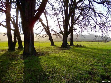 38480 Richardson Gap Rd, Scio, OR 97374 - photo 6