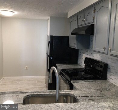 576 Boysenberry Ln, Frederick, MD 21703 - photo 5