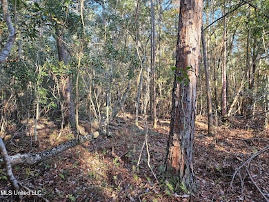 Wooded Bottom