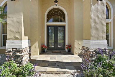 Gorgeous double iron, leaded doors