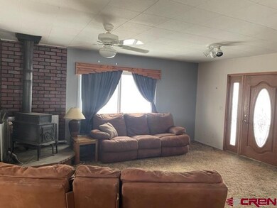 16424 Bull Mesa Rd, Cedaredge, CO 81413 - photo 5