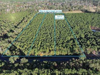 Smyrna aerial 1 with border tract 9