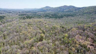 000 Nfw 517, Caddo Gap, AR 71935 - photo 3
