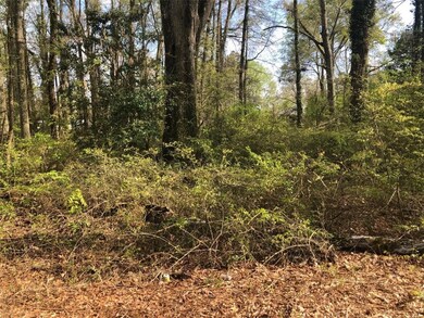 00 River St, Iva, SC 29655 - photo 2