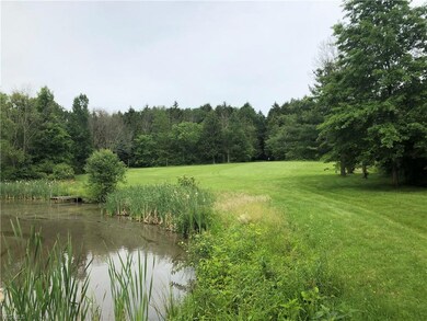 Alongside the pond
