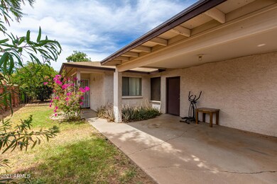 Private Yard / Entry