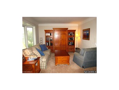 Light filled living room with carpeting, large new