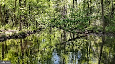 0 Meadow Bridge Rd unit MDWO2026266, Snow Hill, MD 21863 - photo 3