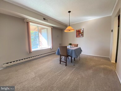 15400 Bassett Ln unit 3A, Silver Spring, MD 20906 - photo 6