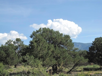 30036 Teal Run unit 13, Buena Vista, CO 81211 - photo 6