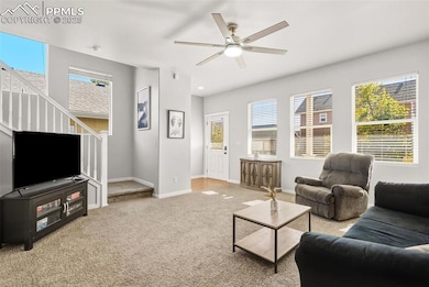 5006 Dovetail Ln, Colorado Springs, CO 80916 - photo 3