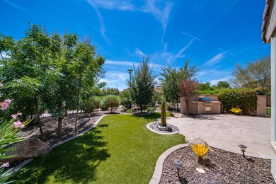 Tranquil backyard