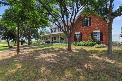 Beautiful trees in the front yard