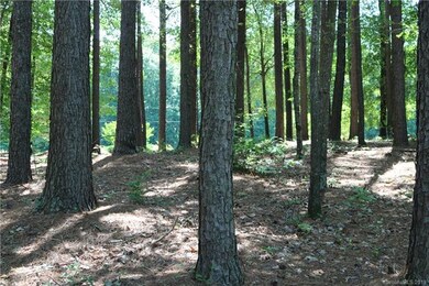 134 Bridgeland Trail unit Lot 3, Statesville, NC 28677 - photo 7
