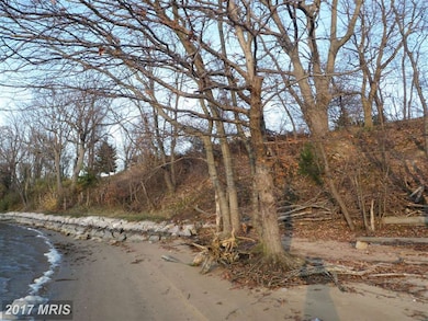 8404 Echo Dr, Pasadena, MD 21122 - photo 7