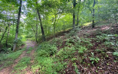 LOT 7 Mountain Field Dr, Blue Ridge, GA 30513 - photo 2