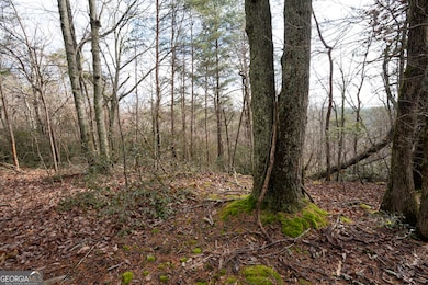 1 Amber Ct, Jasper, GA 30143 - photo 3